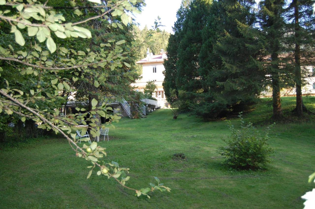 Joly Saint Sauveur Bed and Breakfast Villard-Saint-Sauveur Eksteriør billede